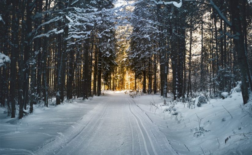 Winter roadside safety and having the proper tire traction mats…